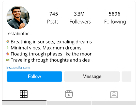 Aesthetic-Feels-Instagram-Bio-for-Inspo