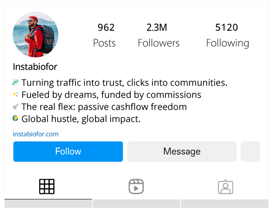 Entrepreneur-Mindset-Instagram-Bio-for-Affiliate-Marketing