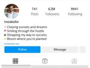 Fun-and-Emoji-Rich-Instagram-Bios-for-Influencers