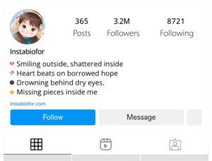 New-Broken-Instagram-Bio-for-Sad-2025
