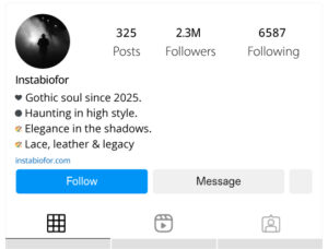 New-Instagram-Bio-for-Gothic-in-2025