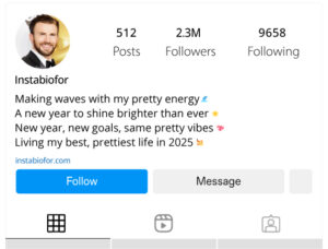 New-Instagram-Bios-for-Pretty-in-2025
