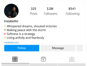 Short-Aesthetic-Attitude-Instagram-Bio