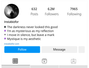 Stylish-Instagram-Bio-for-Mysterious